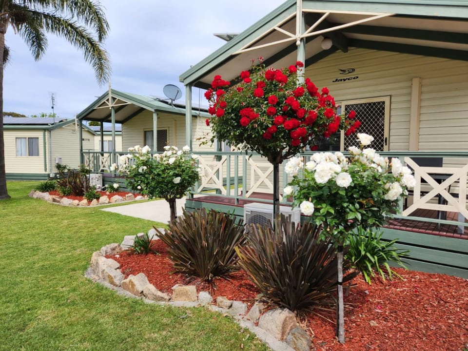 Patio, Garden
