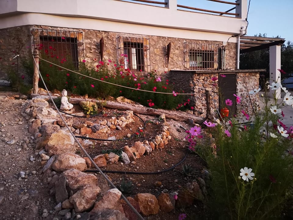 Property building, Garden, Garden view