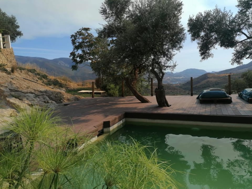 Pool view, Swimming pool, Swimming pool