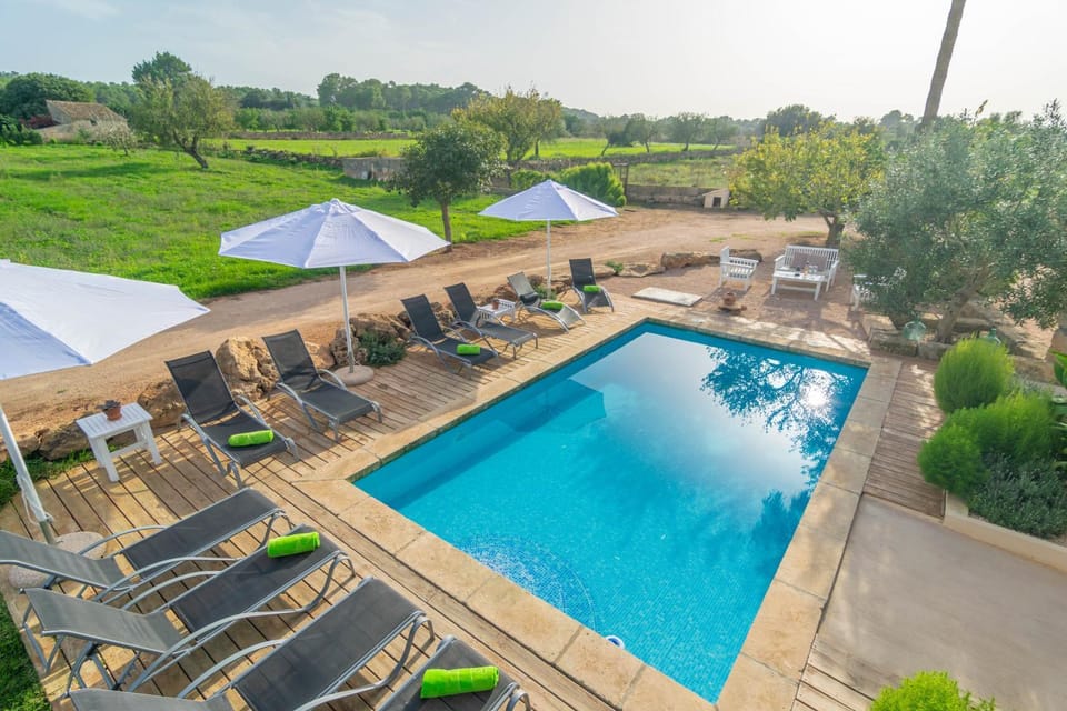 Garden, Swimming pool