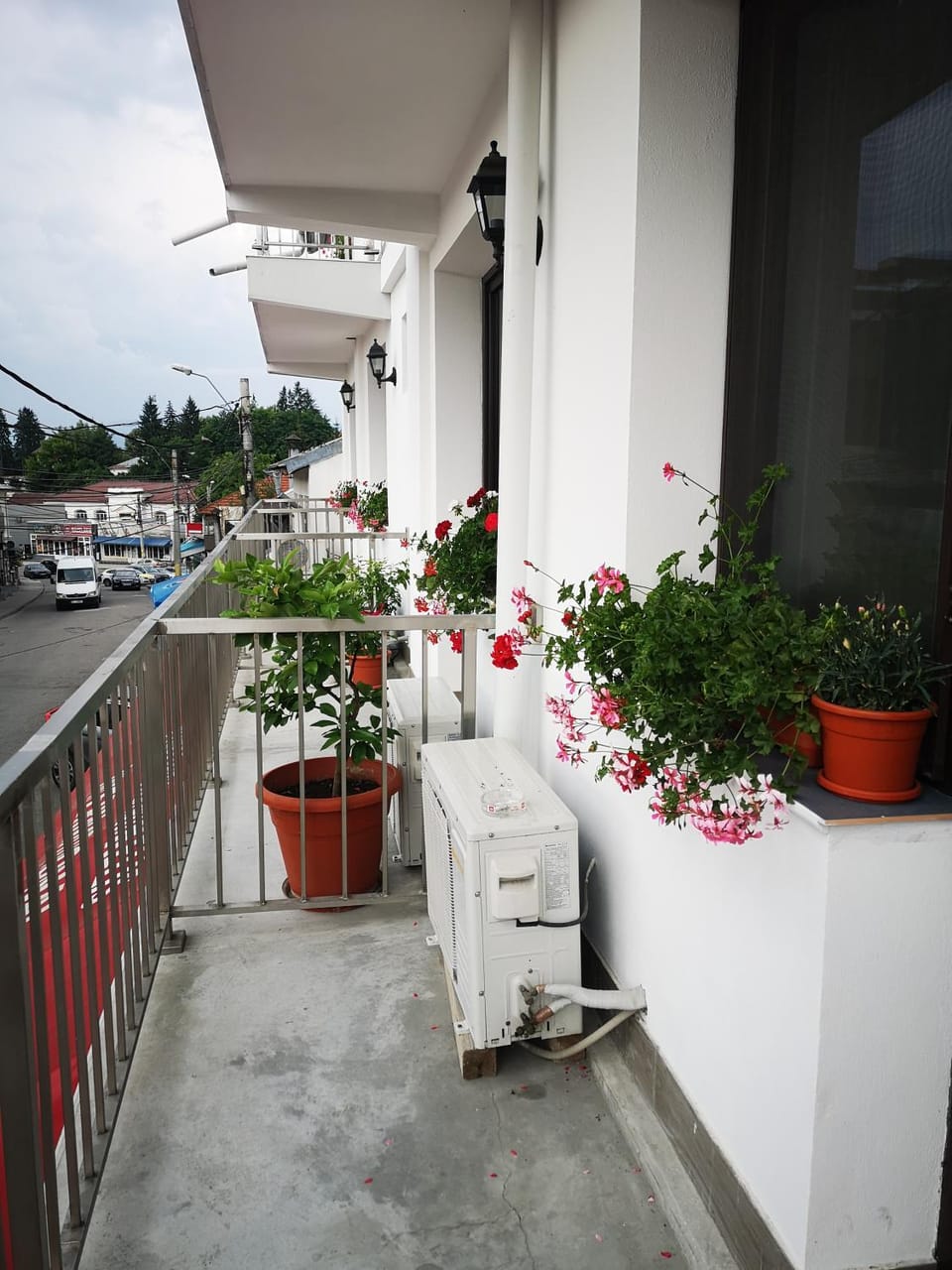 Pensiunea Mikelis International Bed and Breakfast in Romania