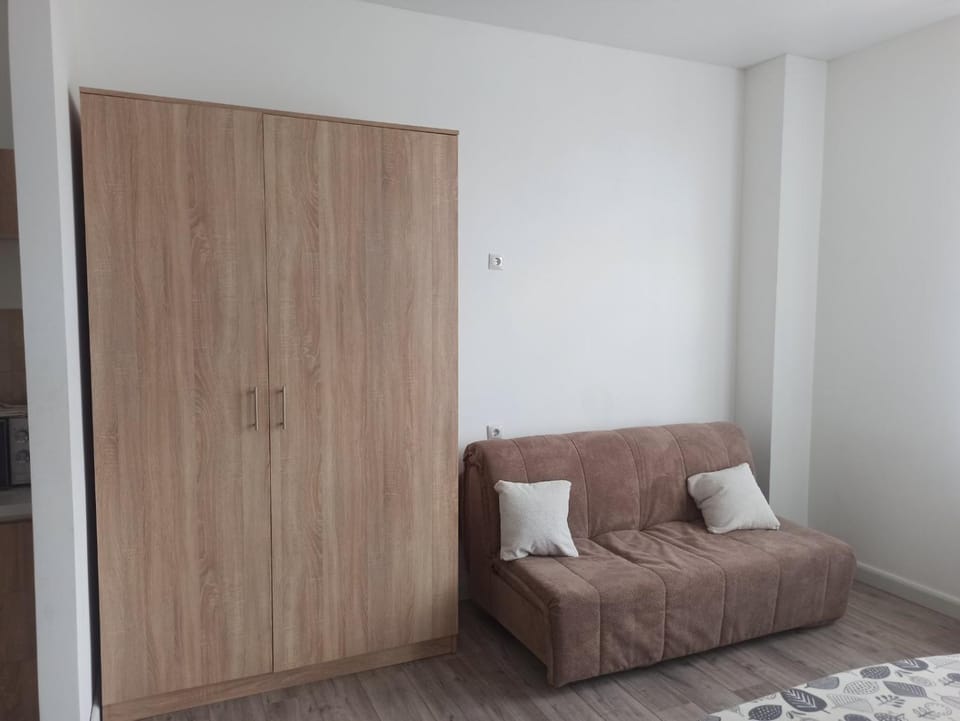 Photo of the whole room, Seating area, wardrobe
