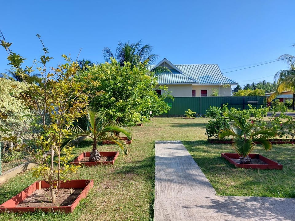 Natural landscape, Garden, Garden, Garden view, Garden view
