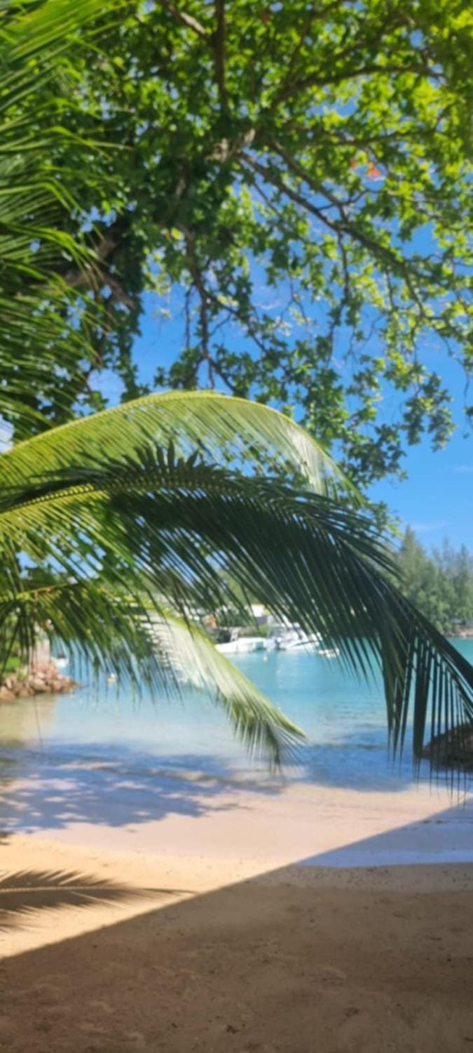 Le Port Guest House Bed and Breakfast in Africa