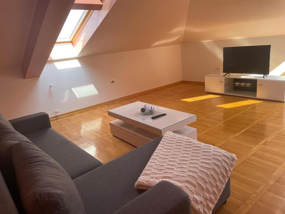 Loft apartman Apartment in Serbia