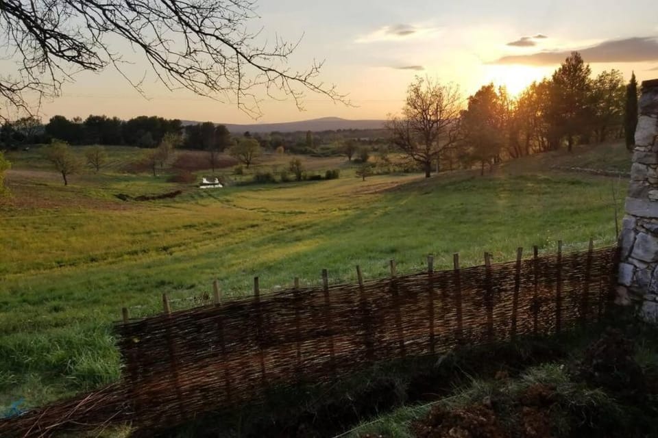 Bastide au milieu des vignes et des oliviers Aups House in Aups