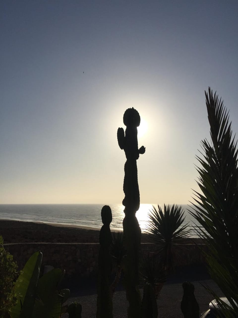 Sea view, Sunset