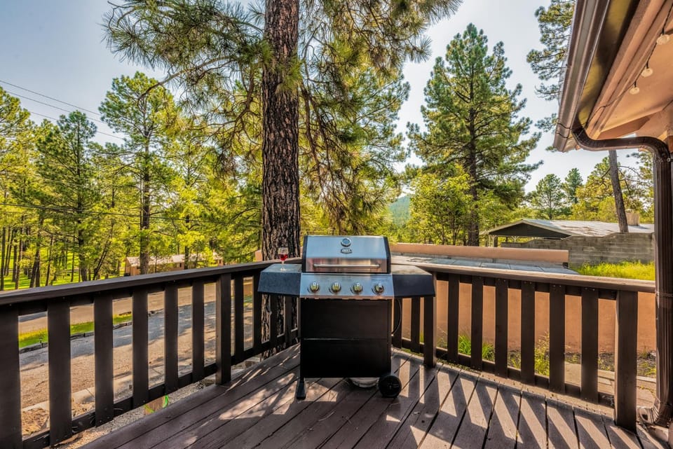Natural landscape, BBQ facilities, Garden, Balcony/Terrace