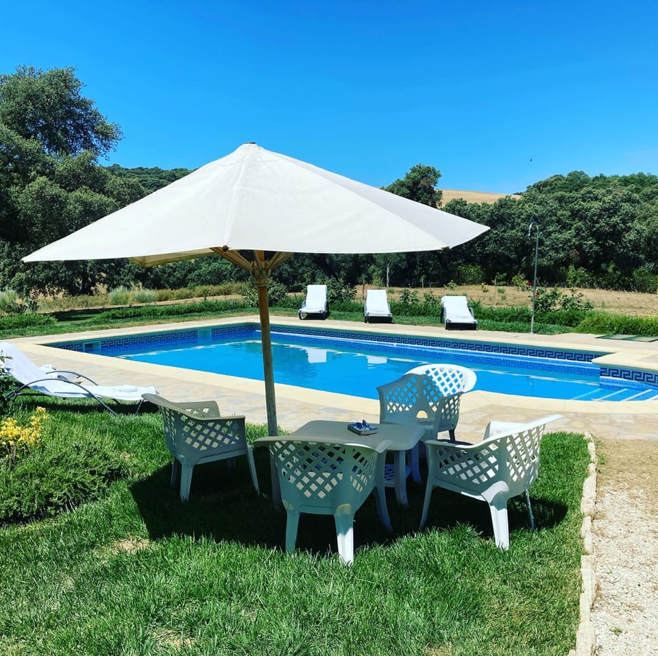 Garden, Swimming pool, Swimming pool