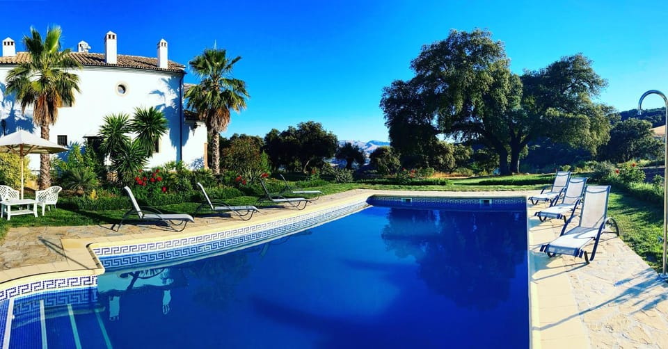 Day, Natural landscape, Garden, Garden view, Pool view, Swimming pool, Swimming pool, sunbed