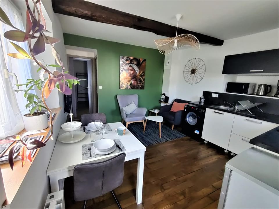 Appartement T2 "JUNGLE" Centre Ville de VITRÉ au calme coté cour Apartment in Brittany