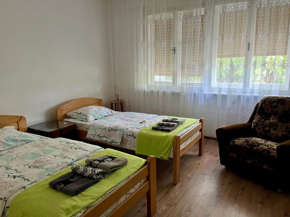 Vila Elena Apartment in Timiș County