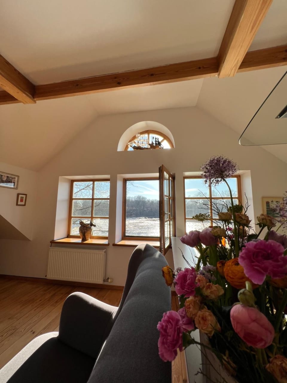 View (from property/room), Living room, City view, River view