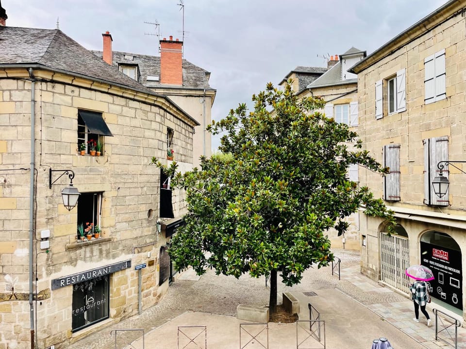 View (from property/room), Street view