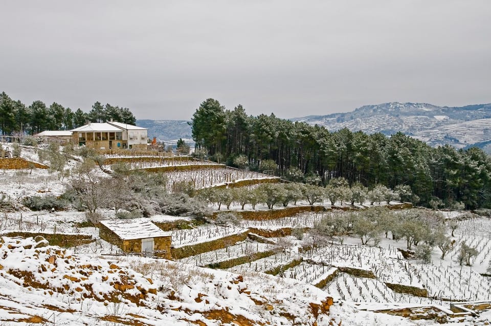 Property building, Winter