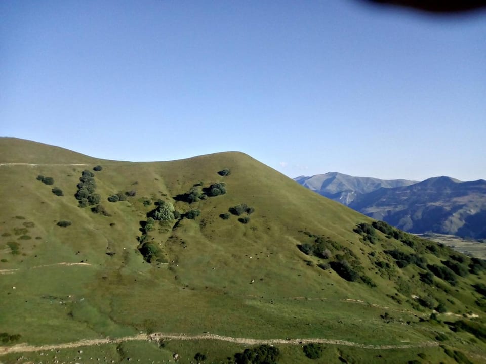 Mountain view