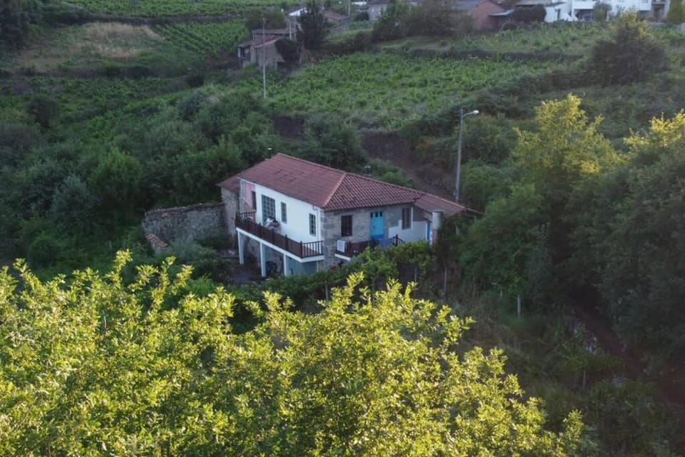 Property building, Bird's eye view