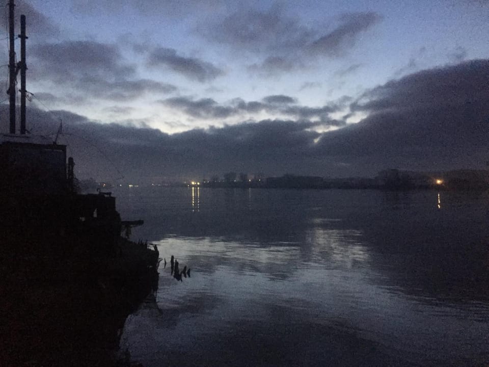 Natural landscape, River view