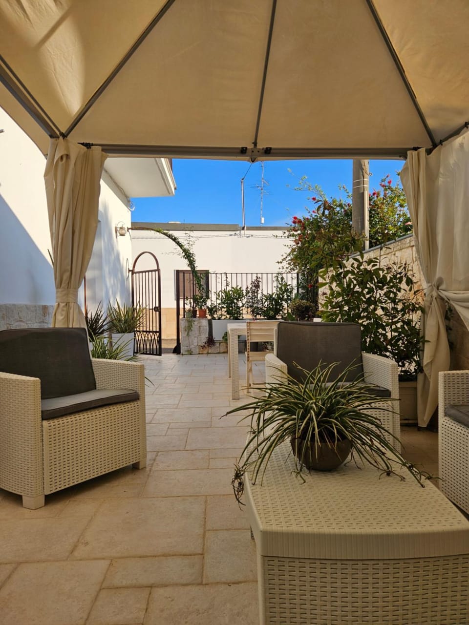 Property building, Patio, Garden