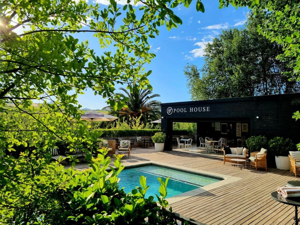 Spring, Garden, Garden view, Pool view, Swimming pool, sunbed