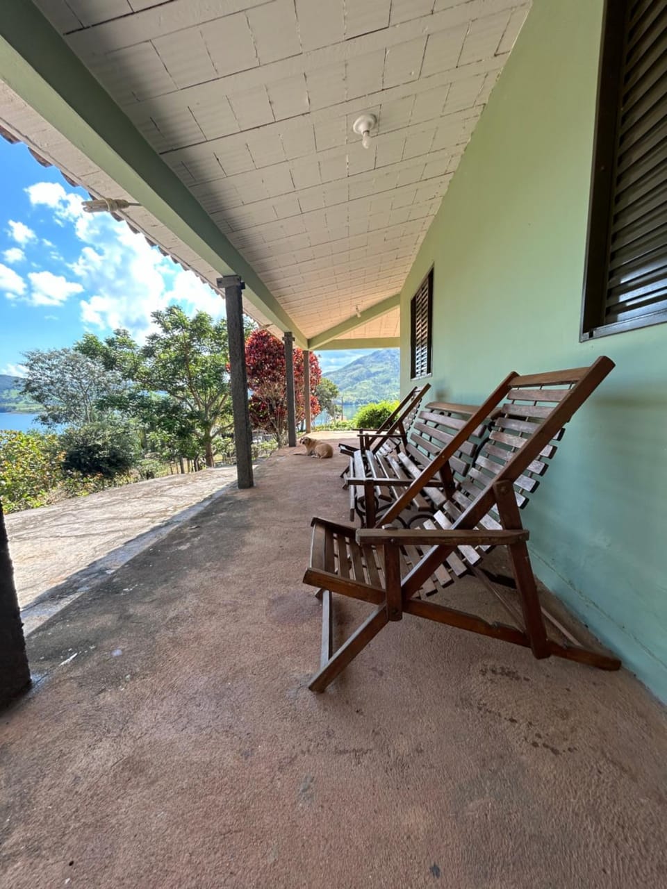 Patio, Natural landscape, View (from property/room), sunbed