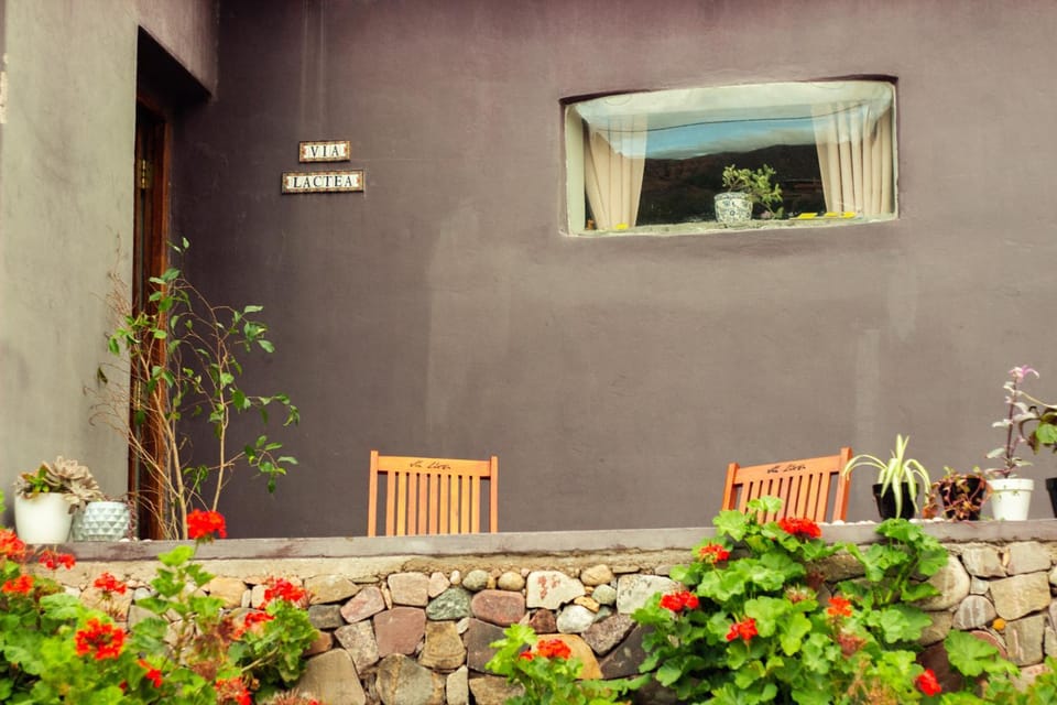 Patio, Garden, Garden view