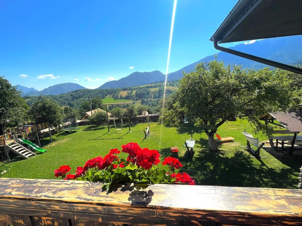 Day, Summer, Garden, Garden view, Mountain view