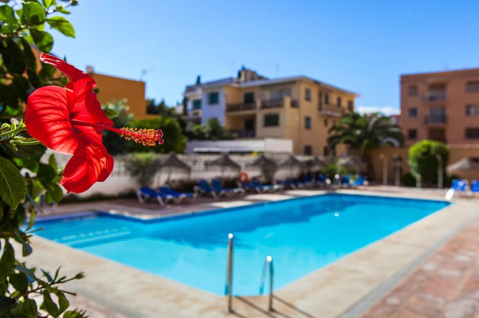 Property building, Swimming pool, Swimming pool