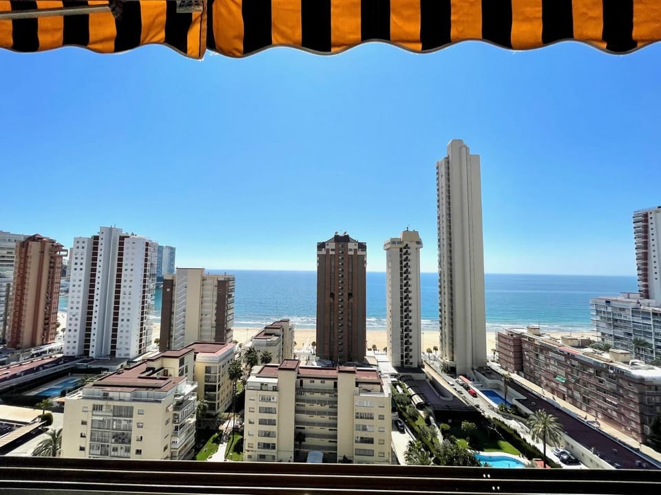 City view, Sea view
