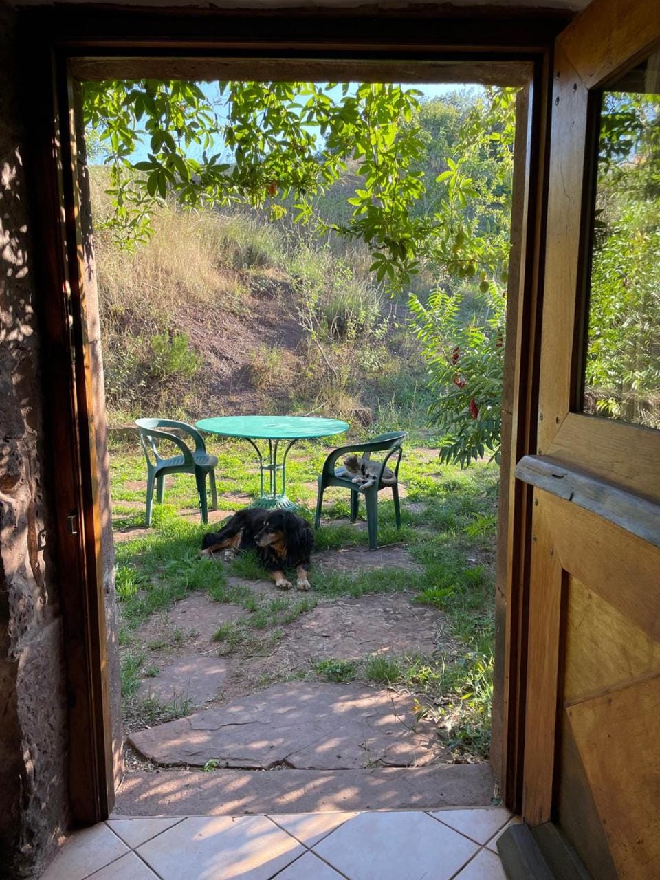 Gîte des Monts Bed and Breakfast in Occitanie