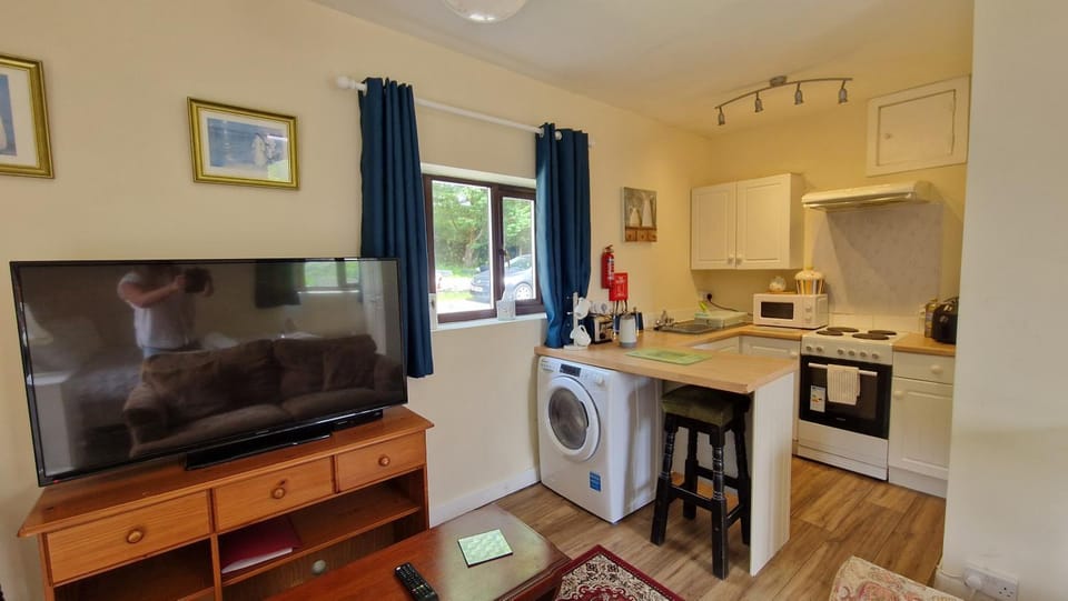 TV and multimedia, Kitchen or kitchenette, Living room, oven, stove, toaster, washing machine