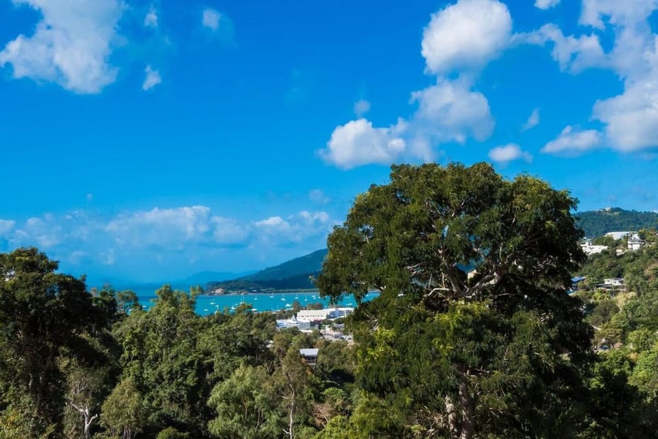 Tulip Oak Apartment in Airlie Beach
