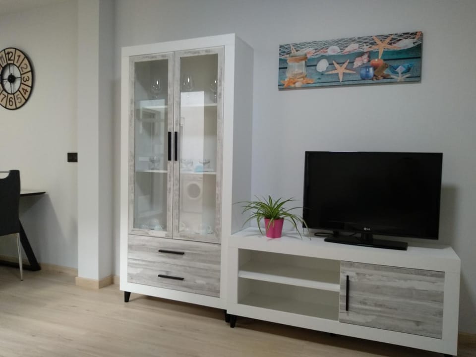 TV and multimedia