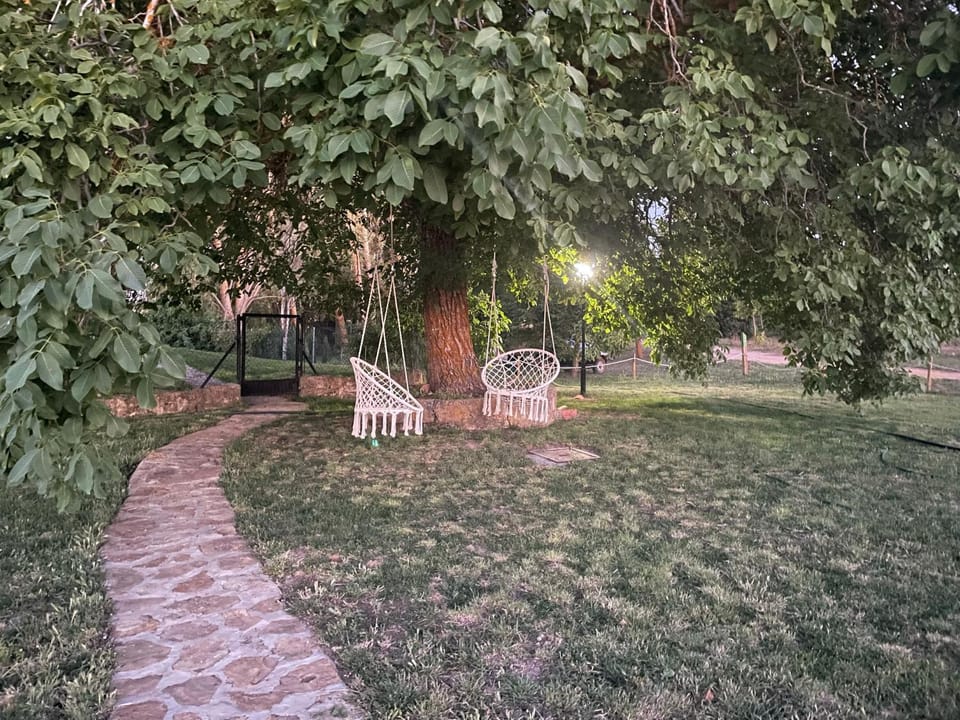 Patio, Off site, Natural landscape, Garden, Seating area