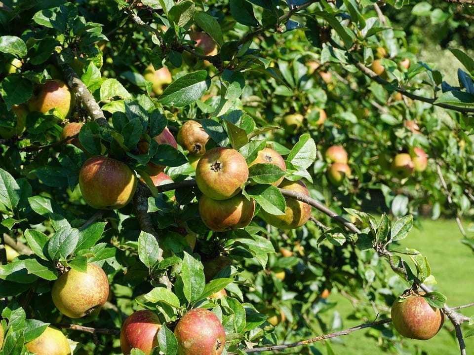 Ferienhaus am Leiselbach House in Rhineland-Palatinate