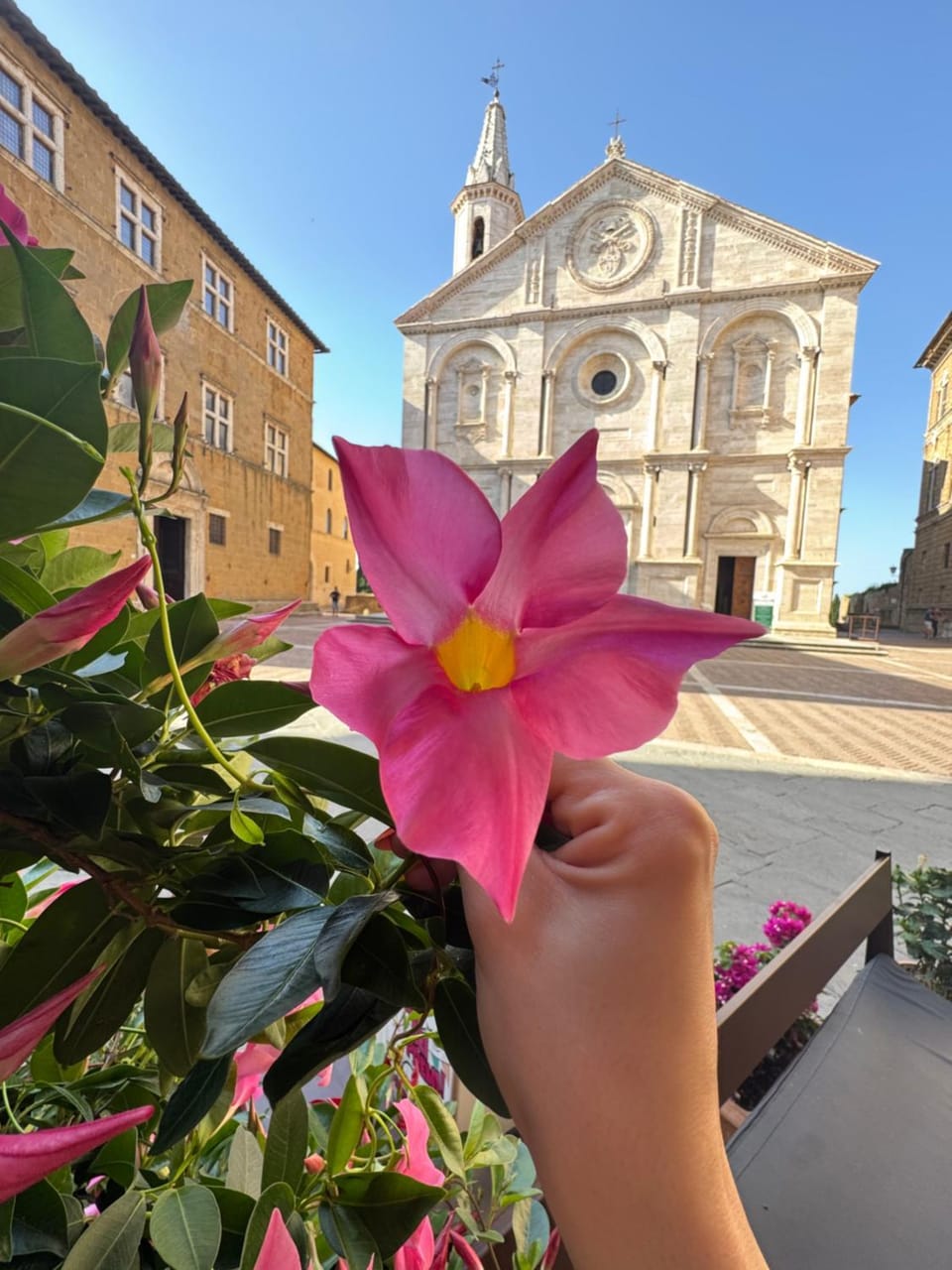 B&B Camere La Vite Bed and Breakfast in Pienza