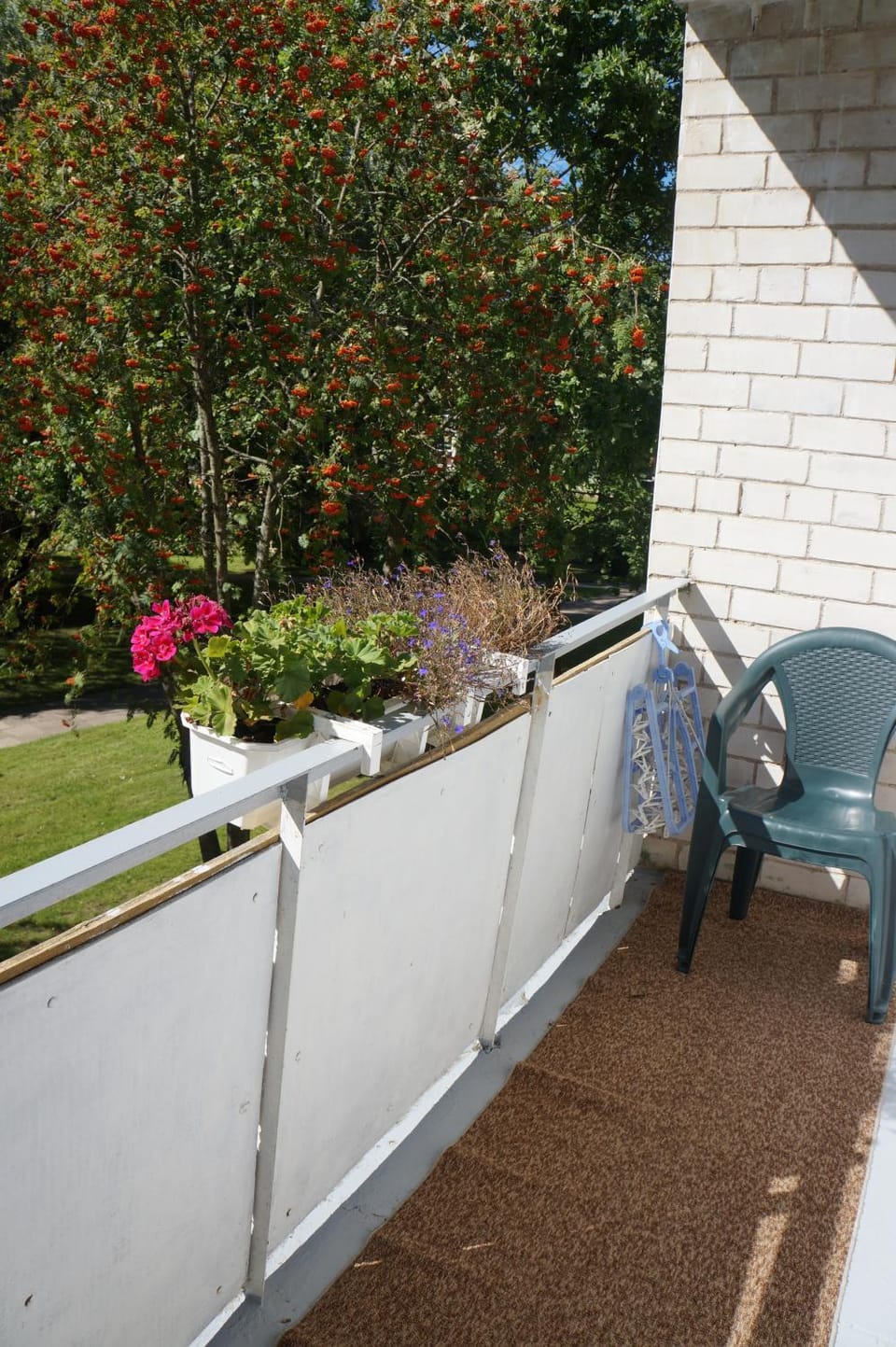 Mildos butas Apartment in Lithuania