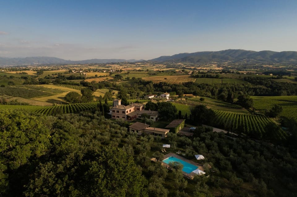 Bird's eye view, Garden view, Pool view, Swimming pool