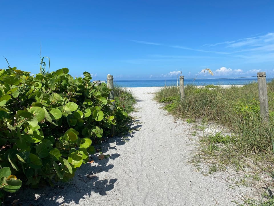 Natural landscape, Beach, Sea view