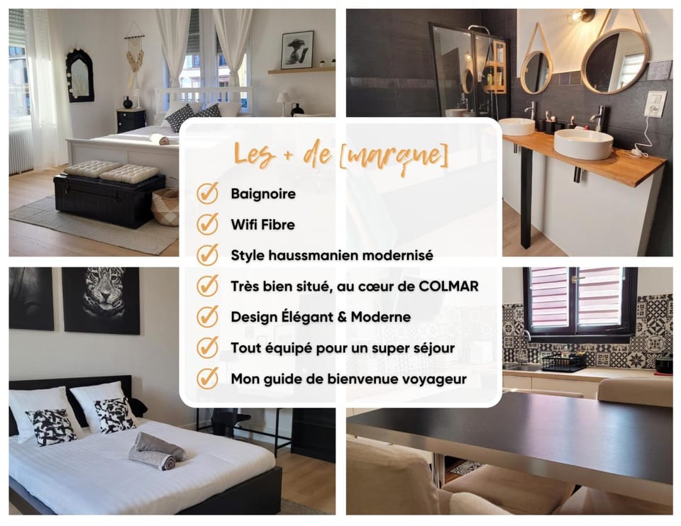 COLMAR Centre VILLE 6 couchages 3 grandes chambres Apartment in Colmar