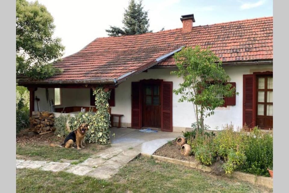 Oaza miru v sožitju z naravo House in Slovenia