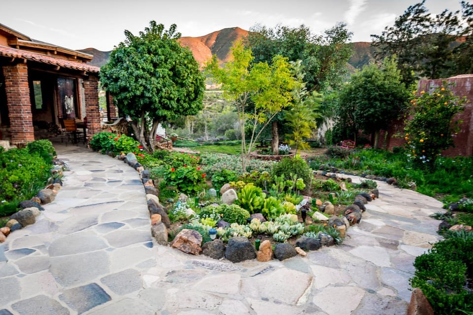 Garden view, Internal: Not applicable to any particular room