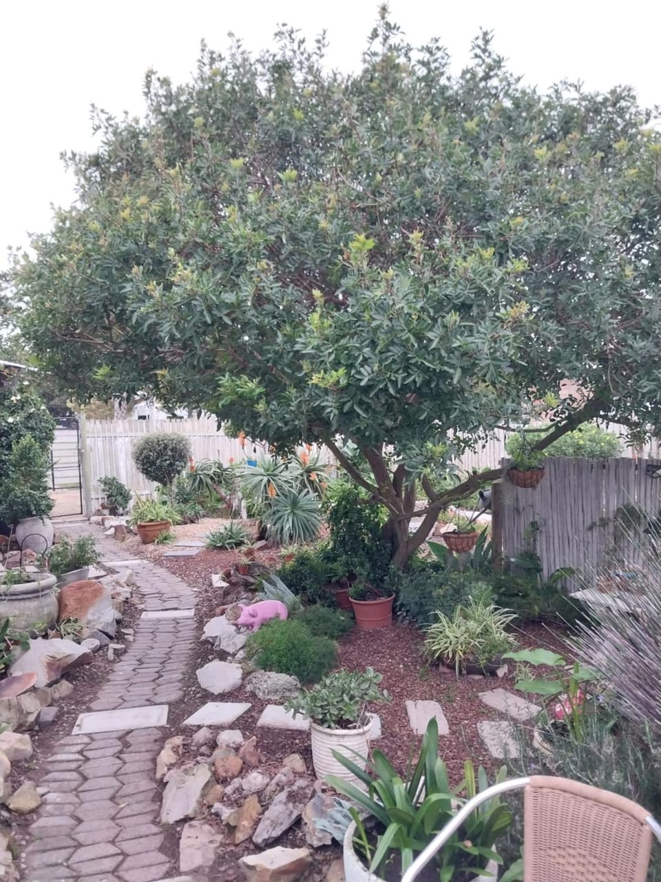 Its Practical Holidays Bed and Breakfast in Hermanus
