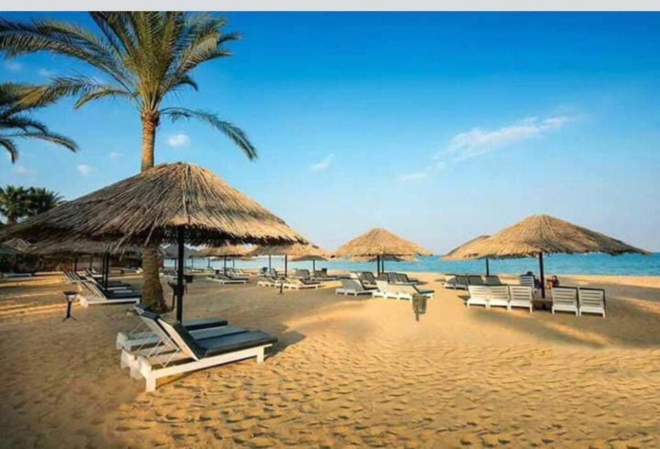 Palmera Beach Chalet - Families Only Apartment in Egypt