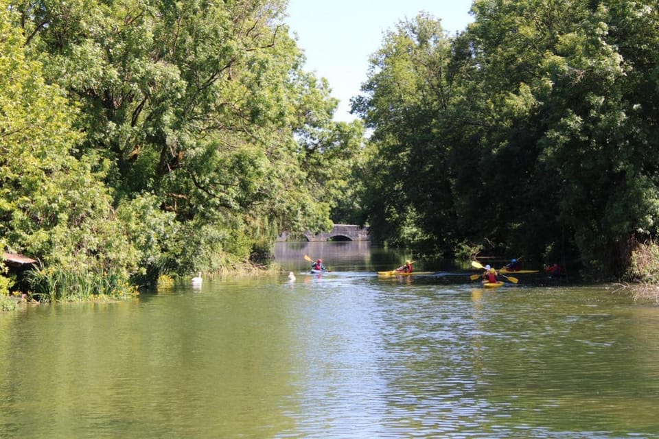 Moulin de Vibrac House in Nouvelle-Aquitaine