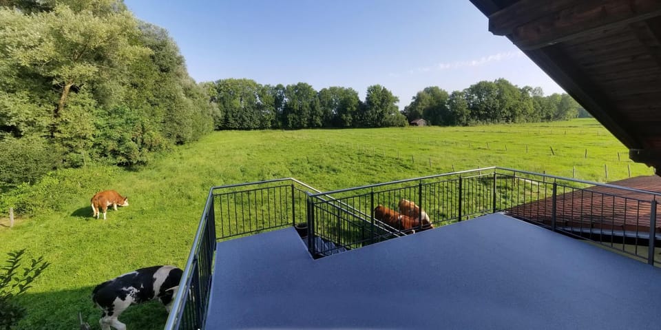 Balcony/Terrace, Garden view