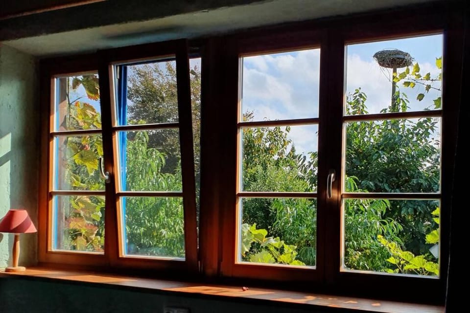 Garden view