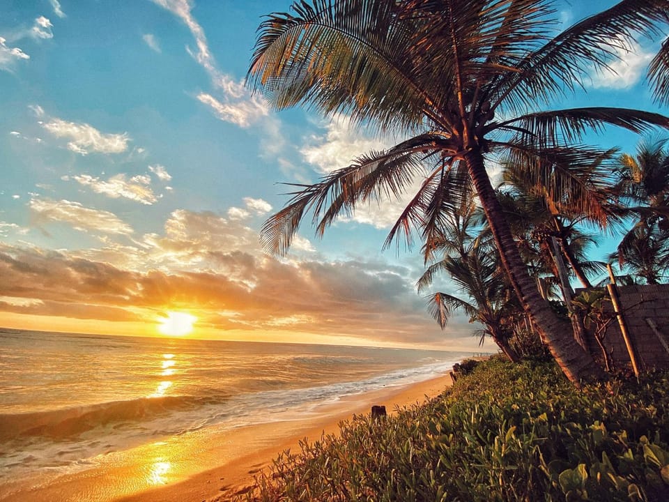 Natural landscape, Beach, Sea view, Sunrise