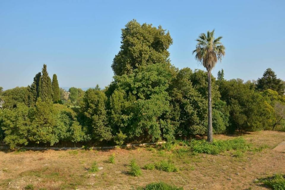 Natural landscape