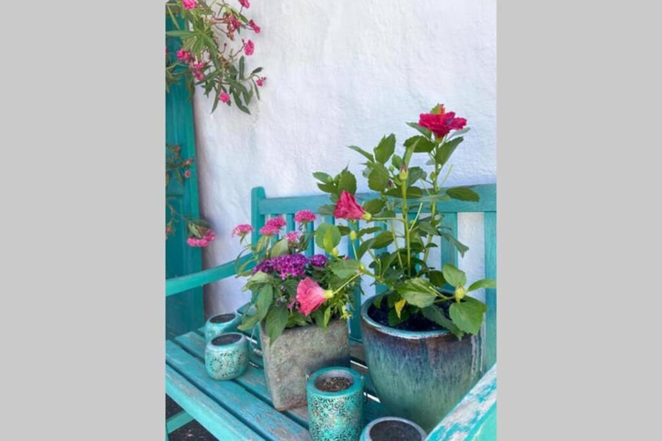 Casa Alegria II Apartment in Isla de Lanzarote